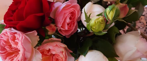 20231108-112740-600x250-crop-50-50.jpg