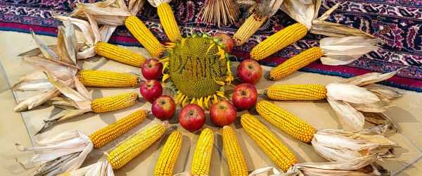 20261011-111834-erntedank-haunoldstein-261011-600x250-crop-51-54.jpg