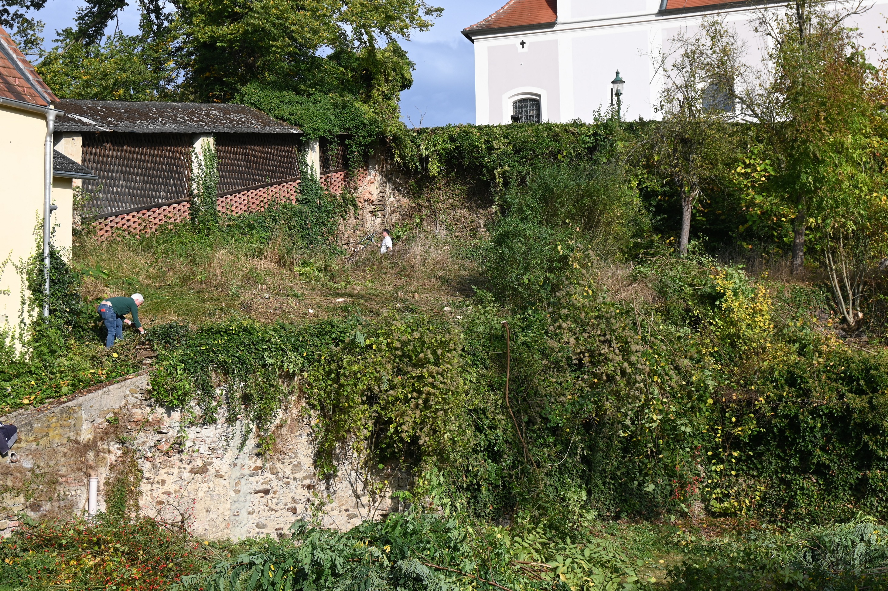 dsc_1115-kopie.jpg