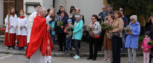 img-3035-segnung-der-palmzweige-600x250-crop-50-50.jpg